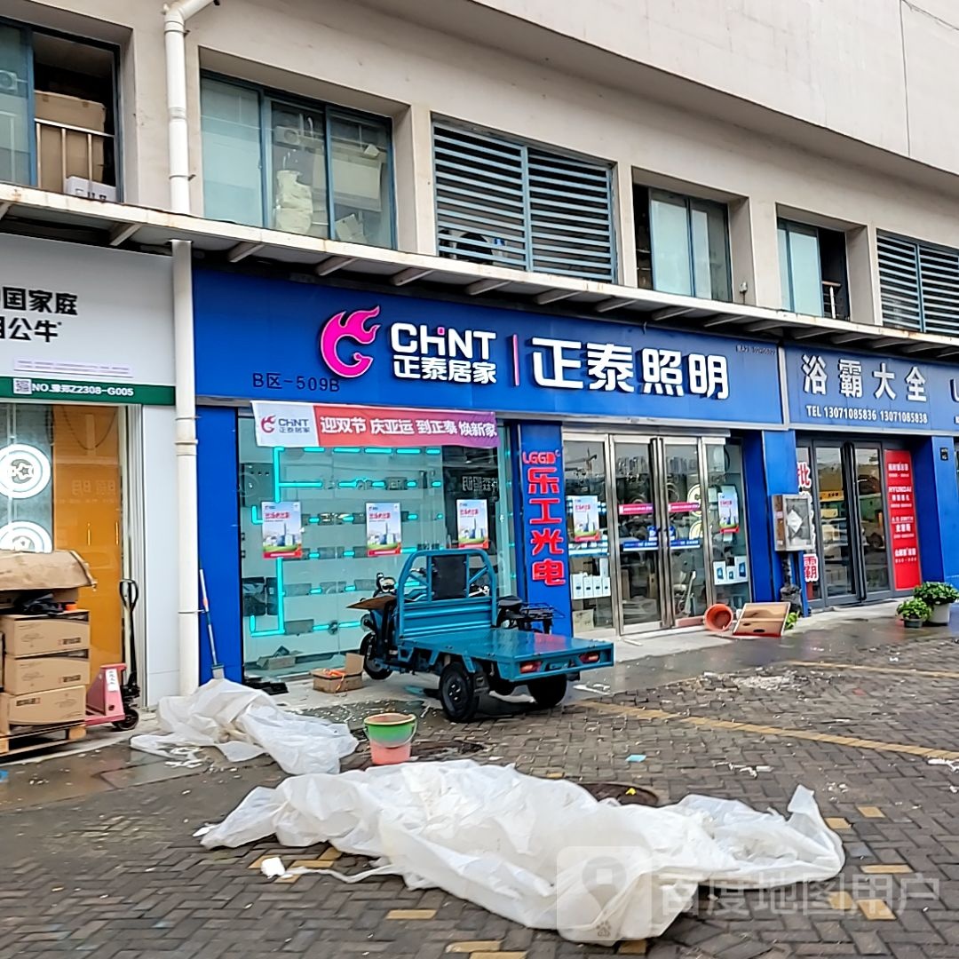 正泰照明欧雅灯饰(七里河南路店)