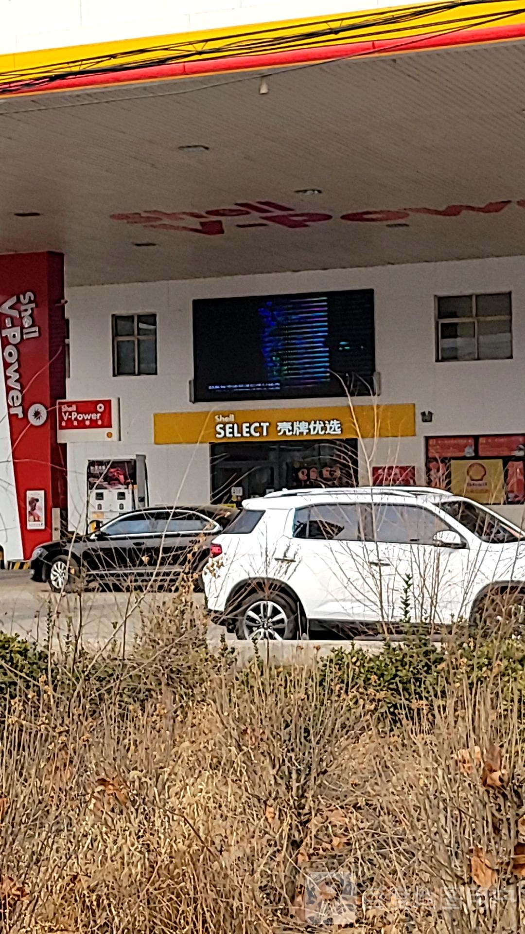 壳子优选(兴新街店)