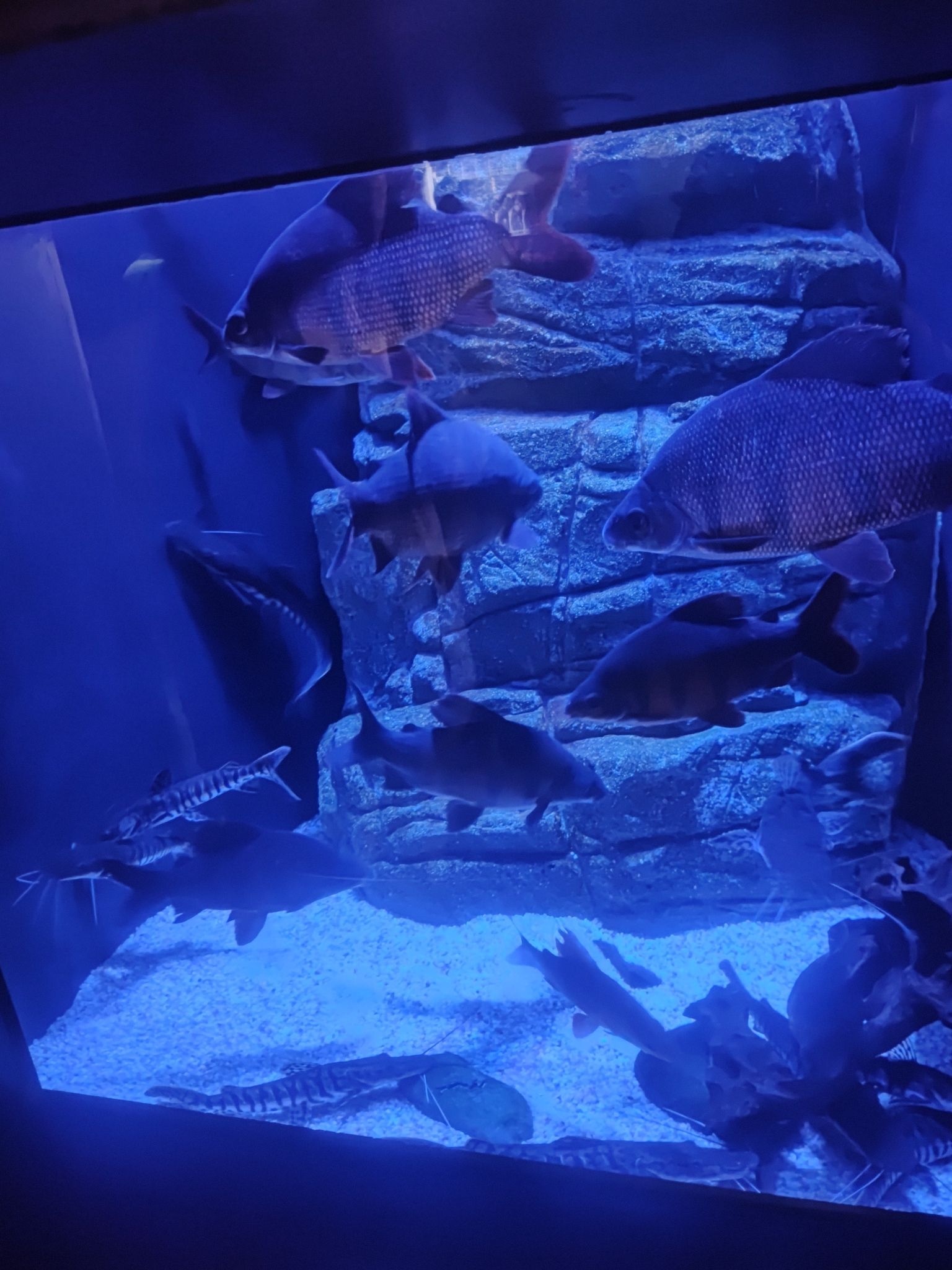 海滨城购物中心