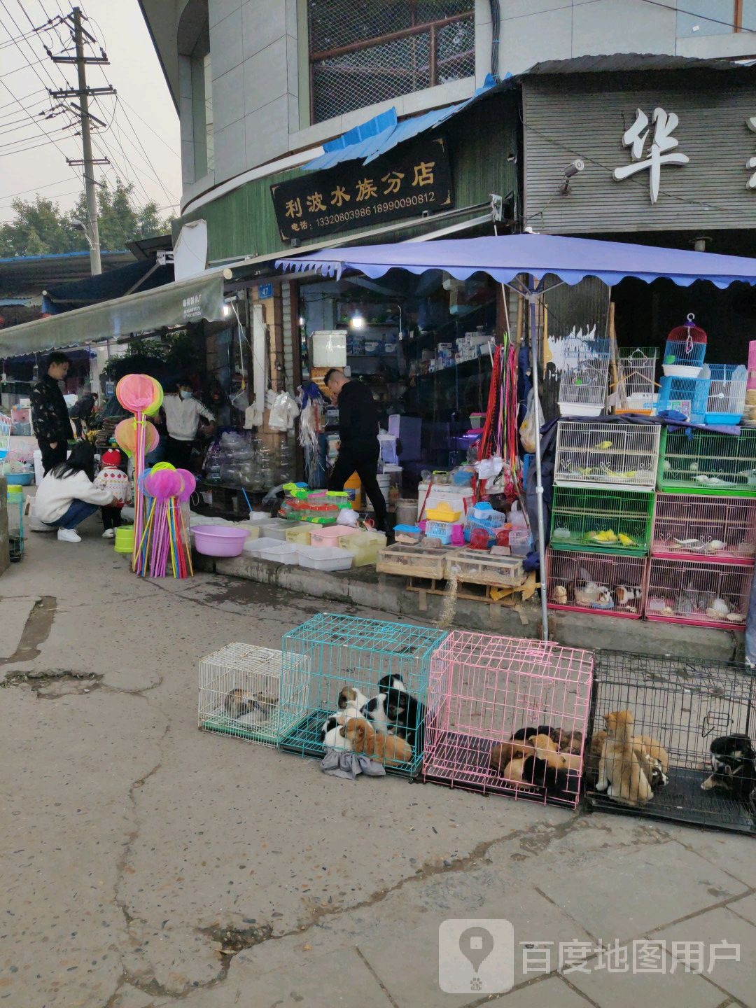 利波水族分店