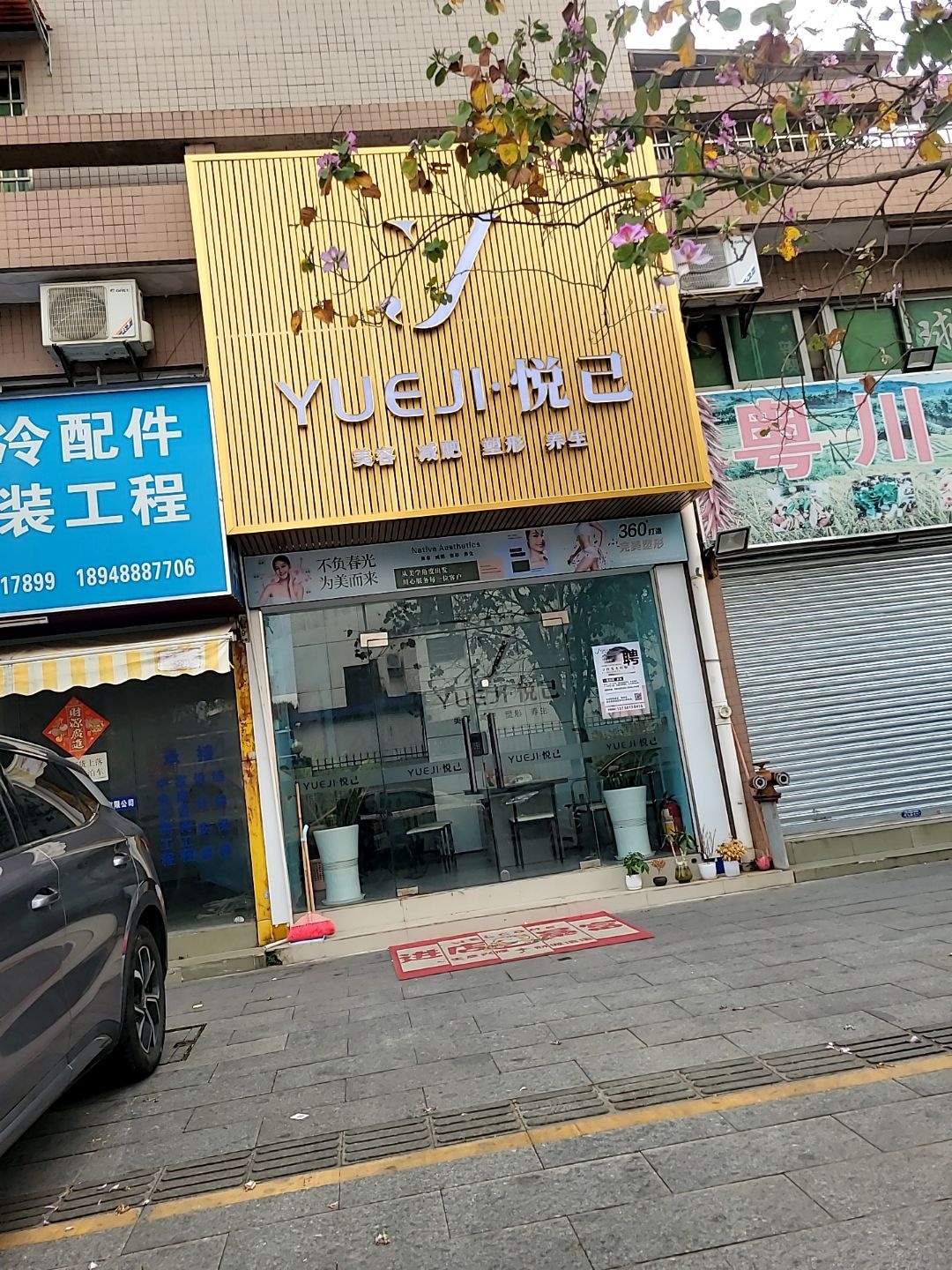 悦己