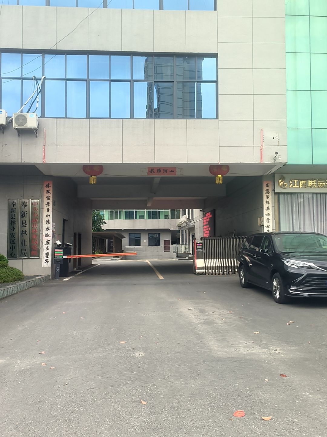 奉新县林业局