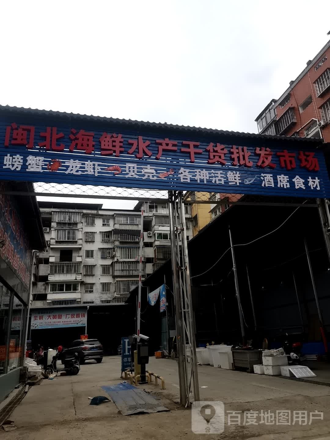 生蚝甲鱼