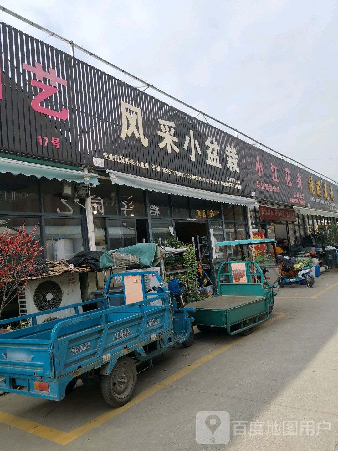 小江花卉