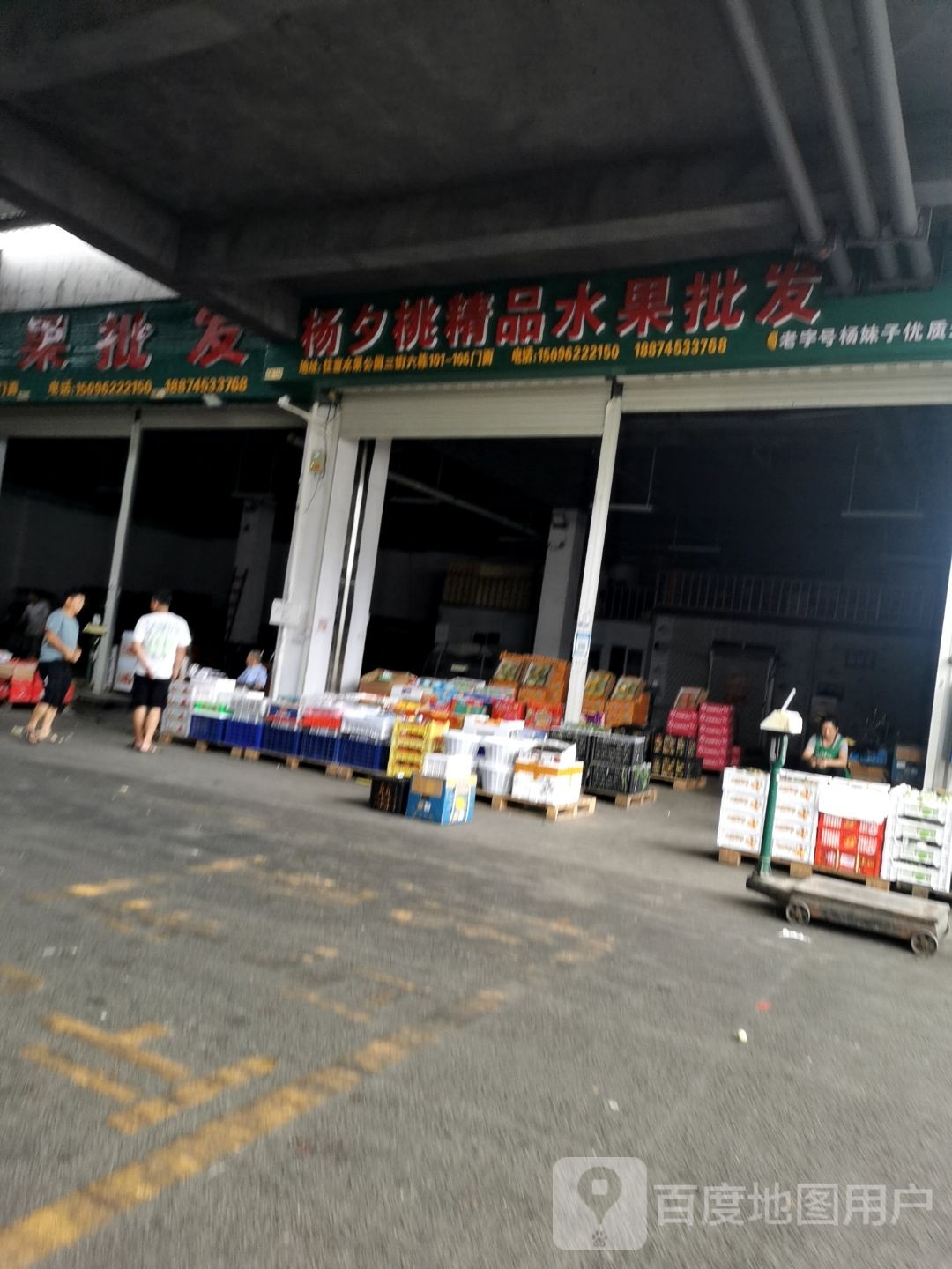 杨夕桃进口水果批发