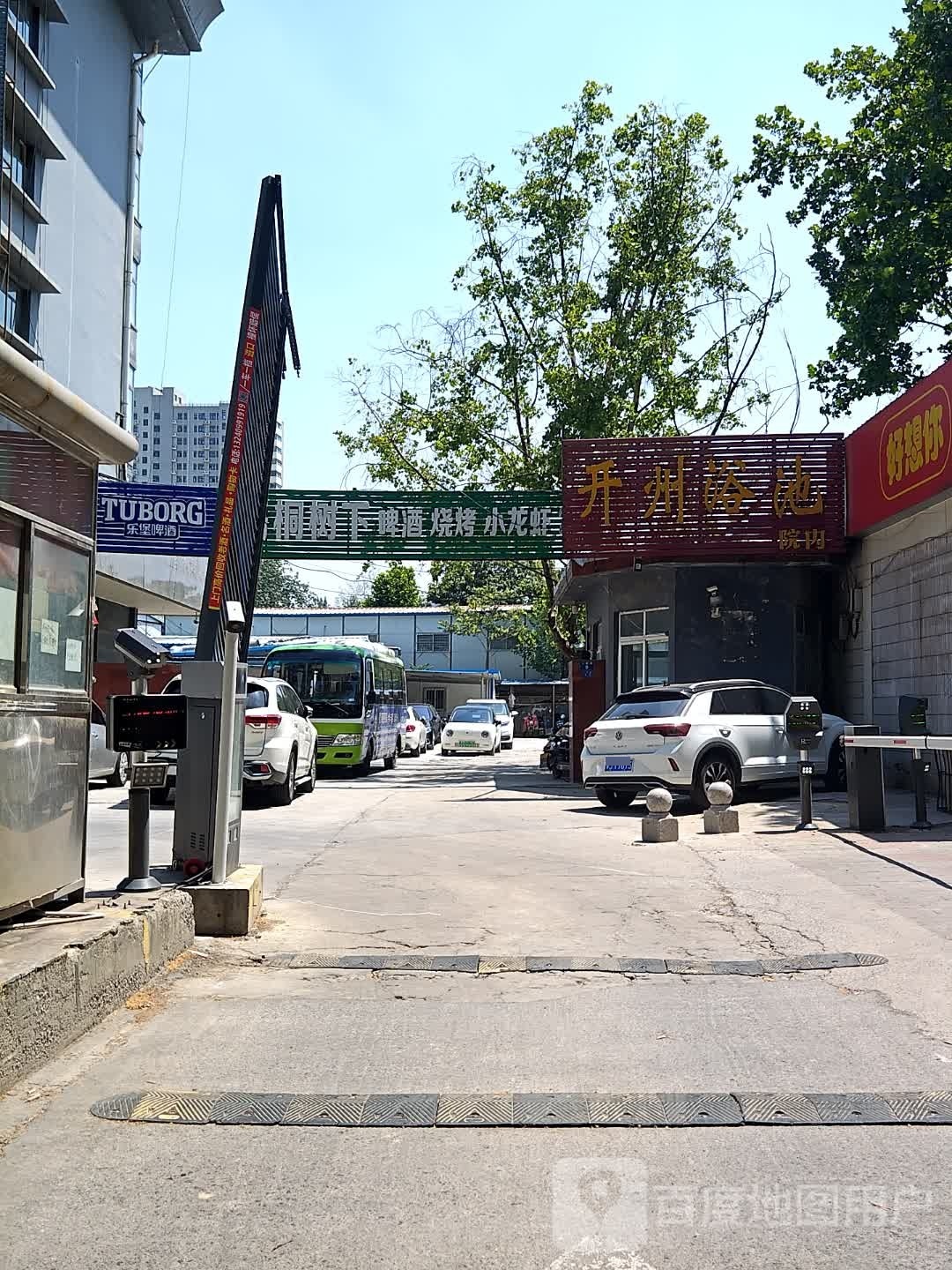 梧桐树下啤九烧烤