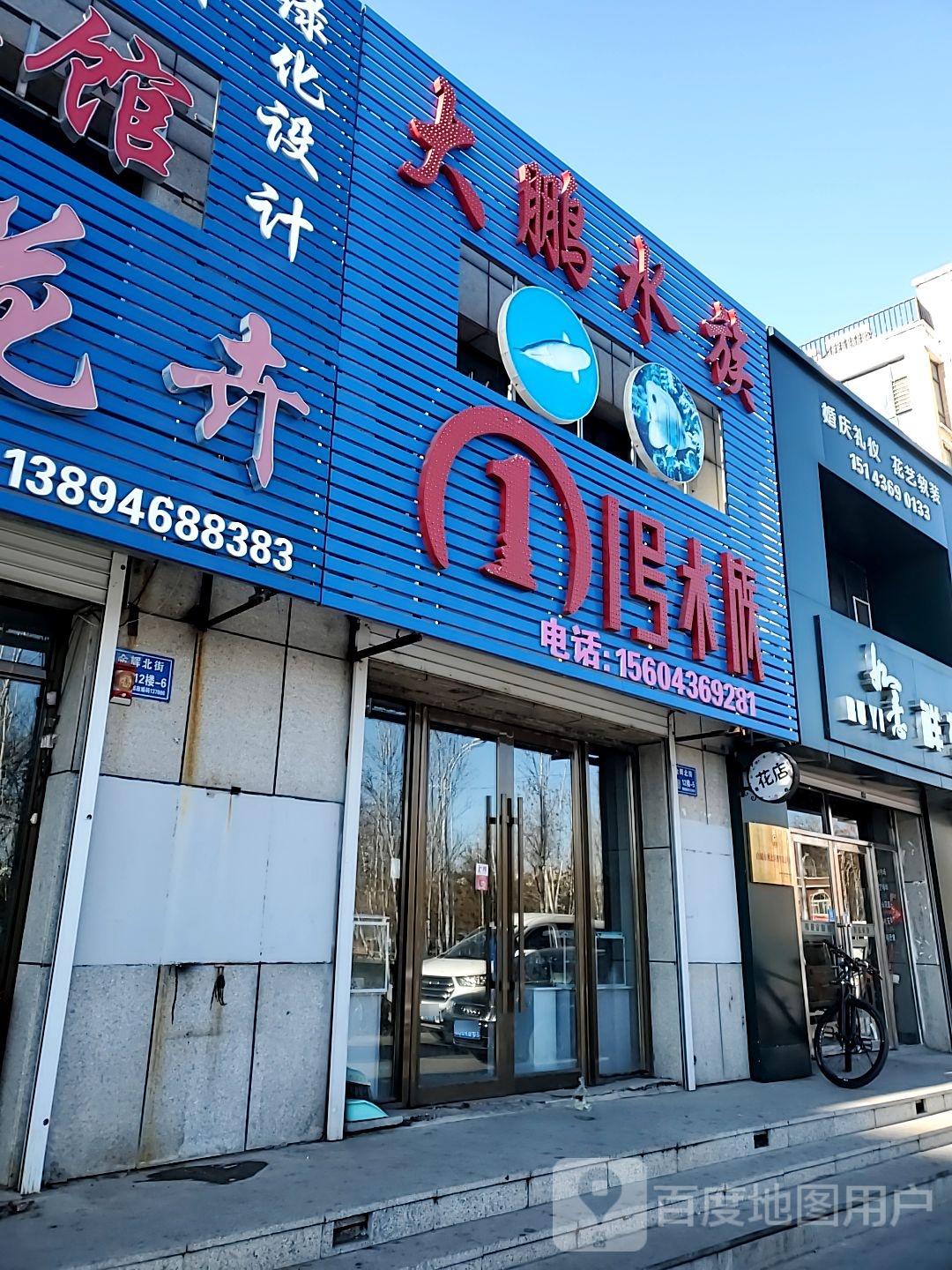 大鹏水族(万兴家园店)