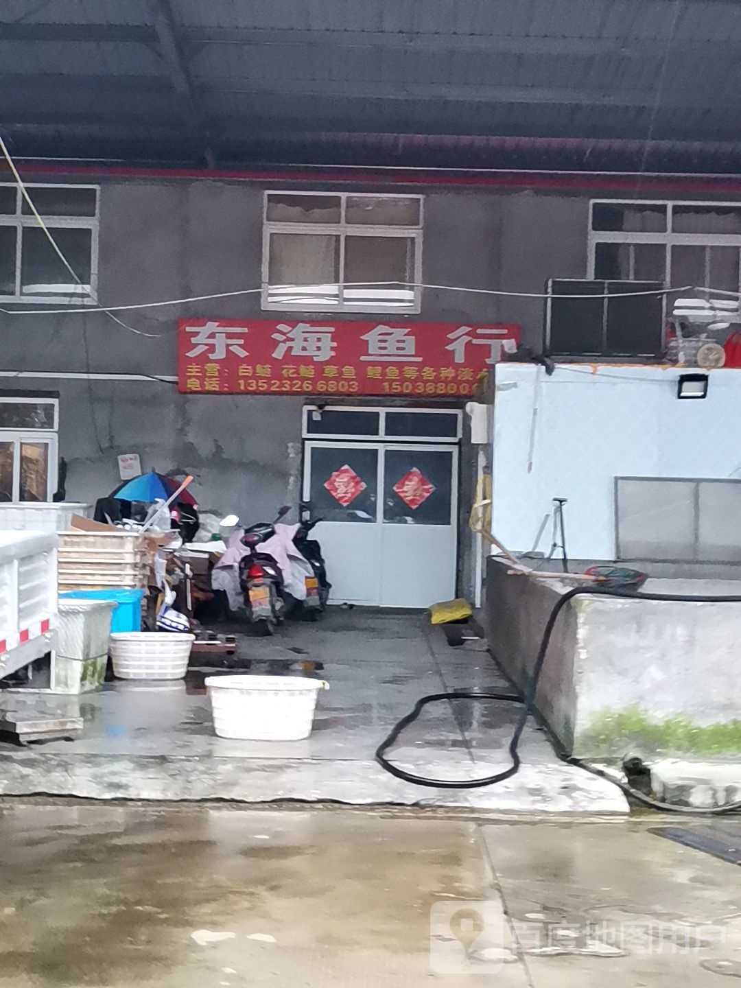 东海鱼行