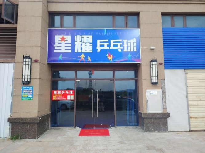 星耀乒乓球