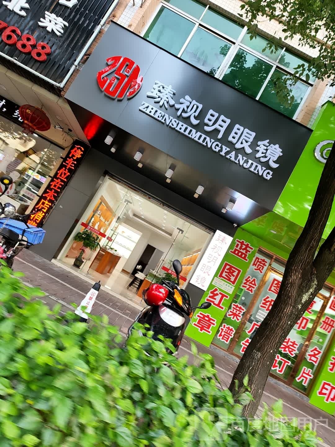 臻视明眼镜(南方雅苑店)