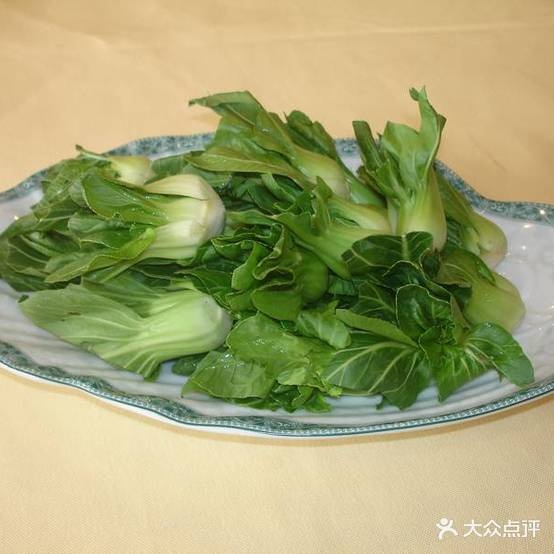 雪域兰州牛肉面