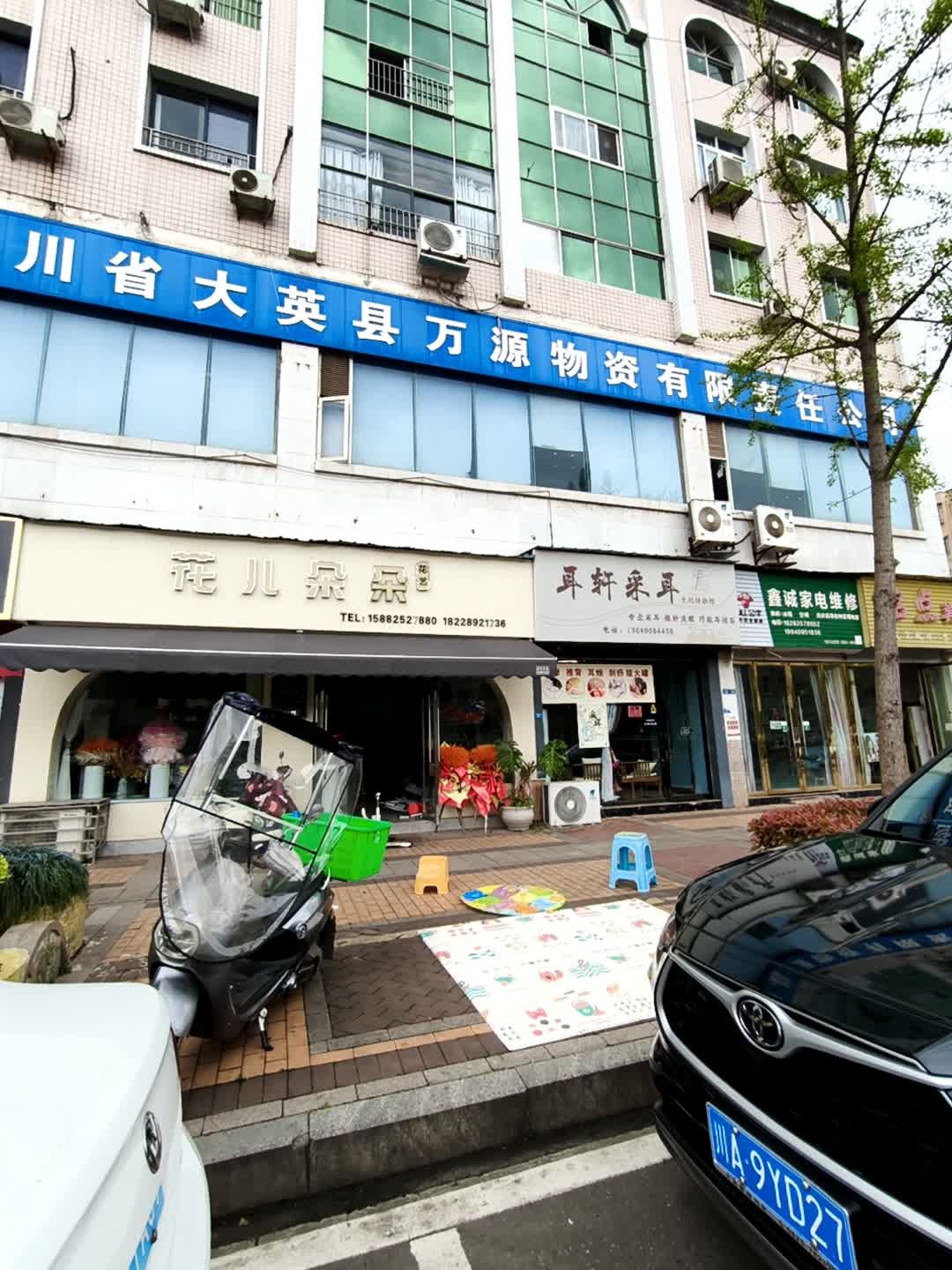 耳轩采耳