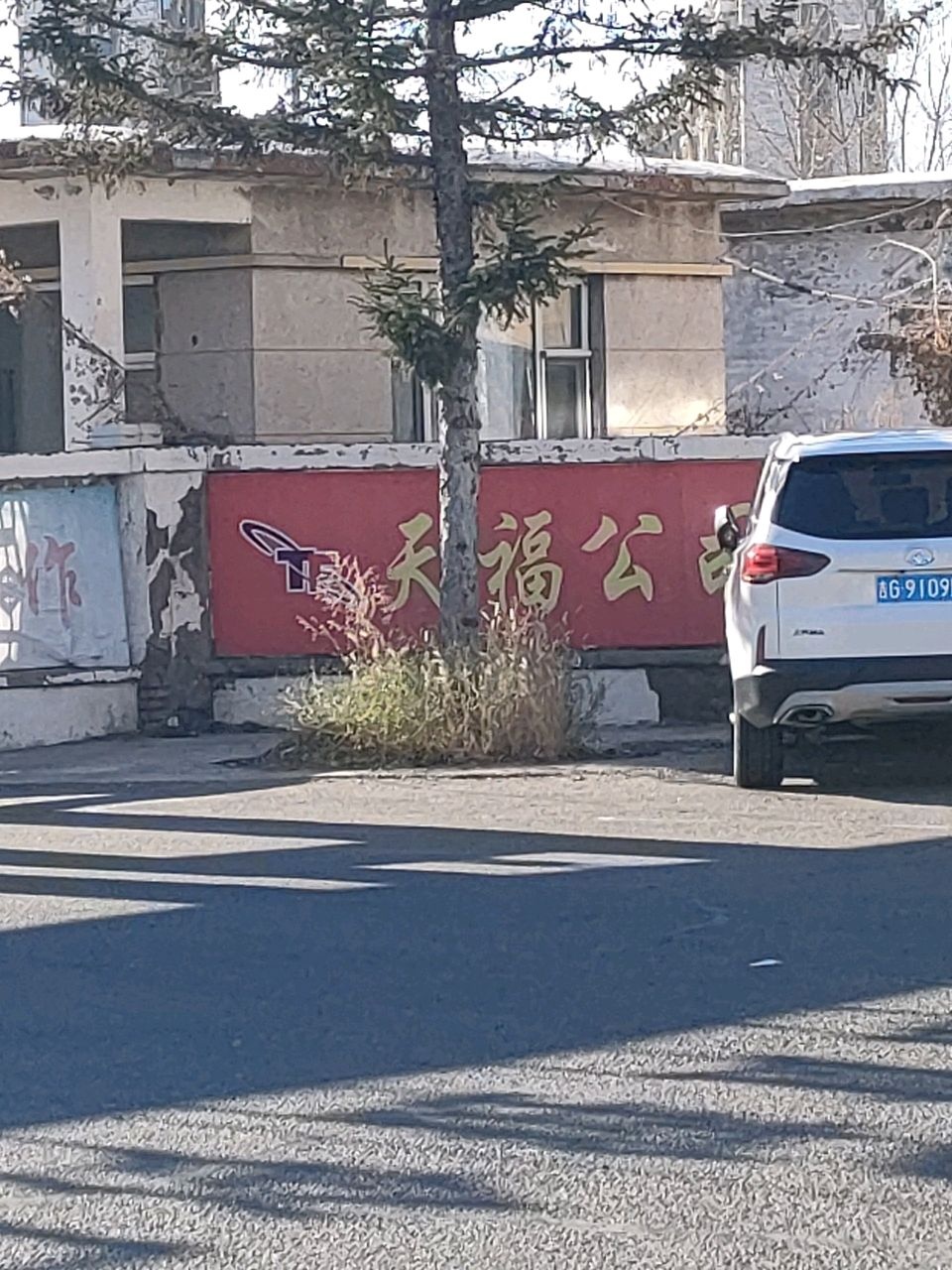 天福食品