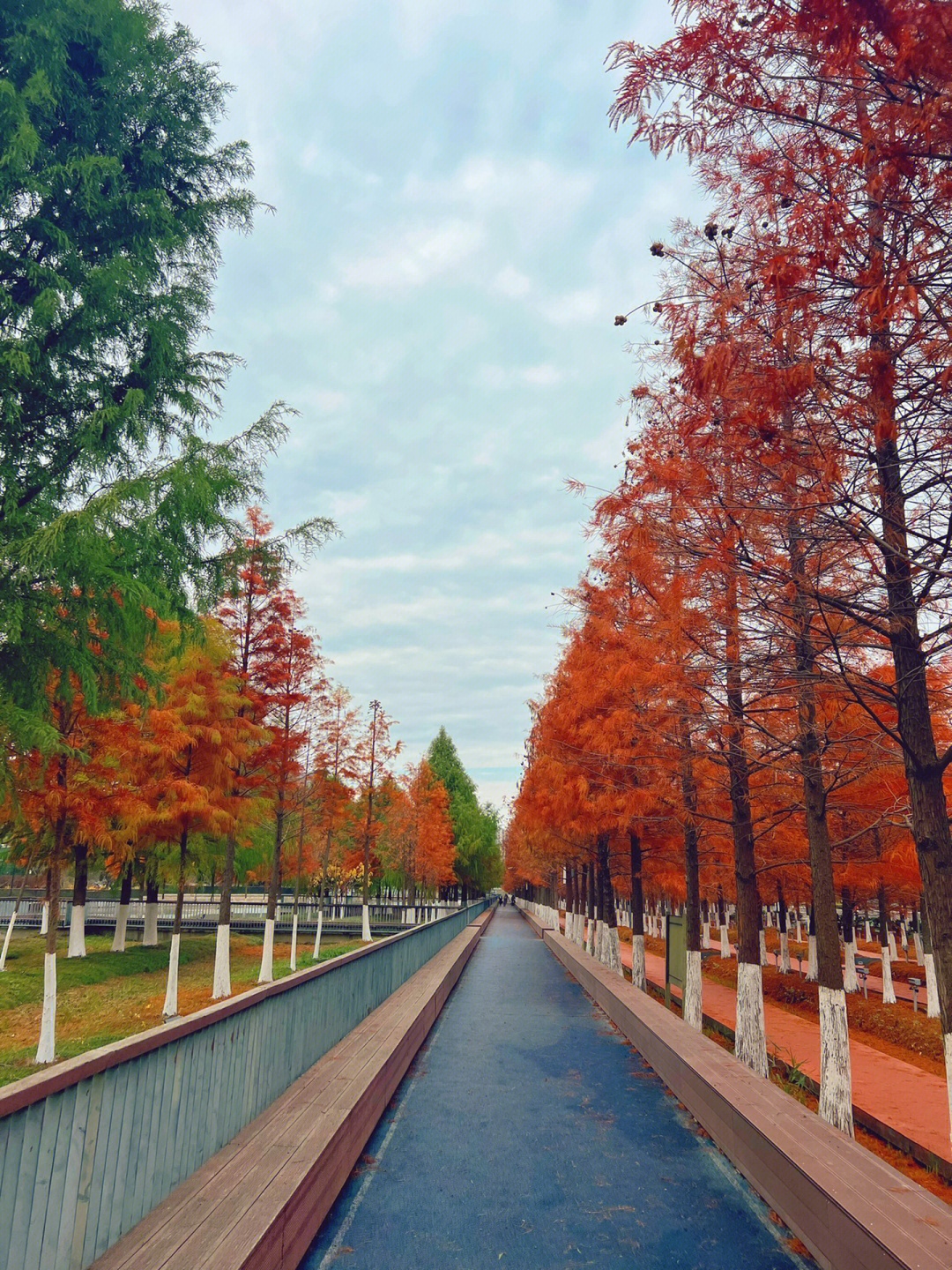 西大河体育公园