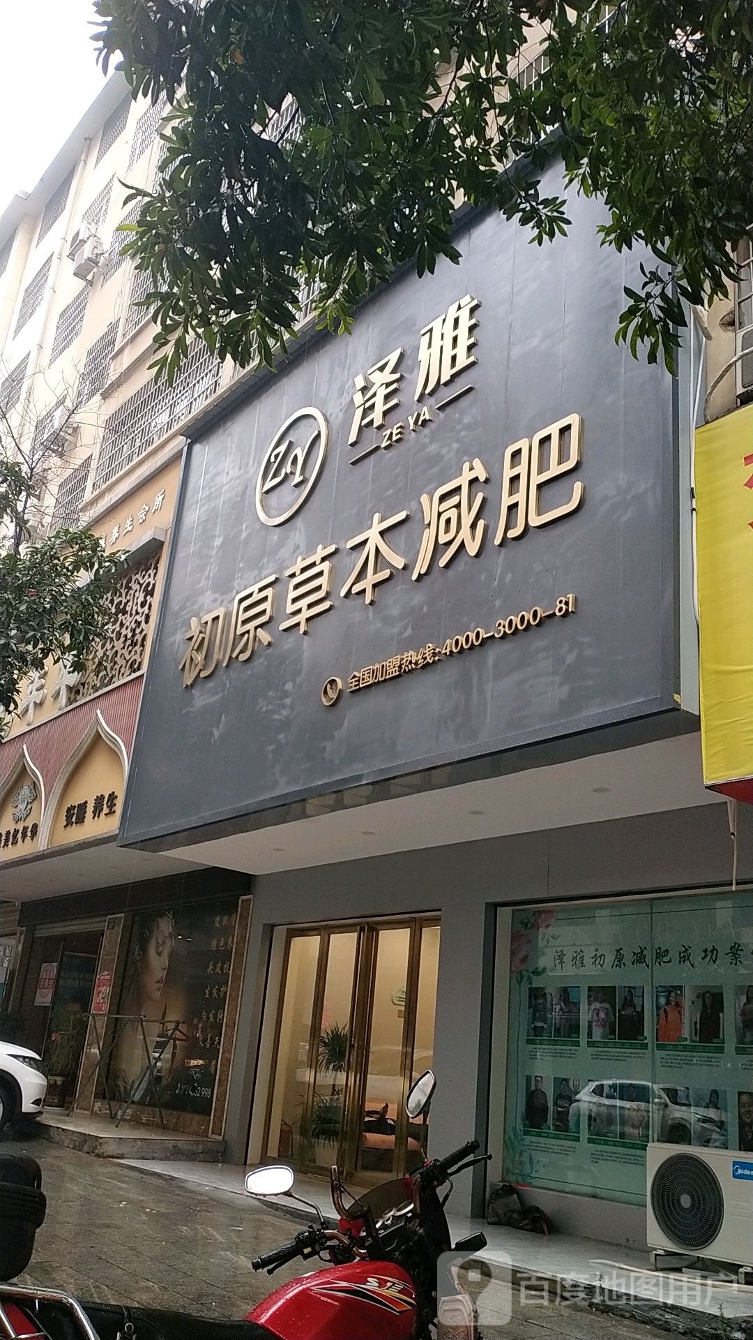 泽雅初原本草减肥