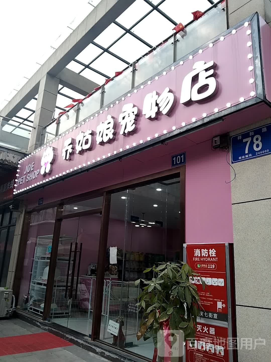 乔姑娘宠物店