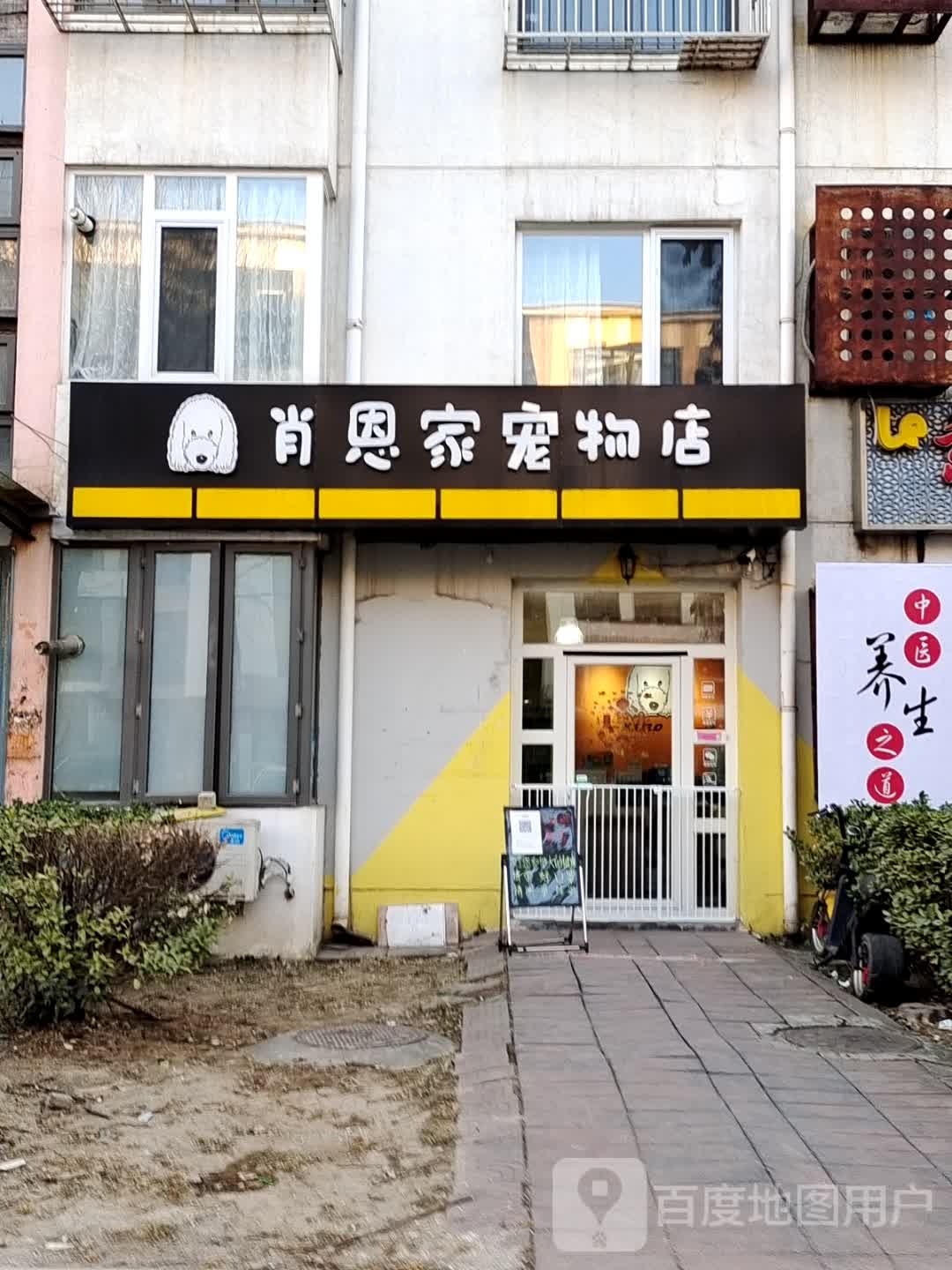 肖恩家宠物店