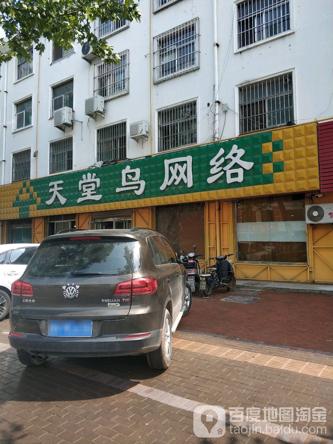 天堂鸟网络