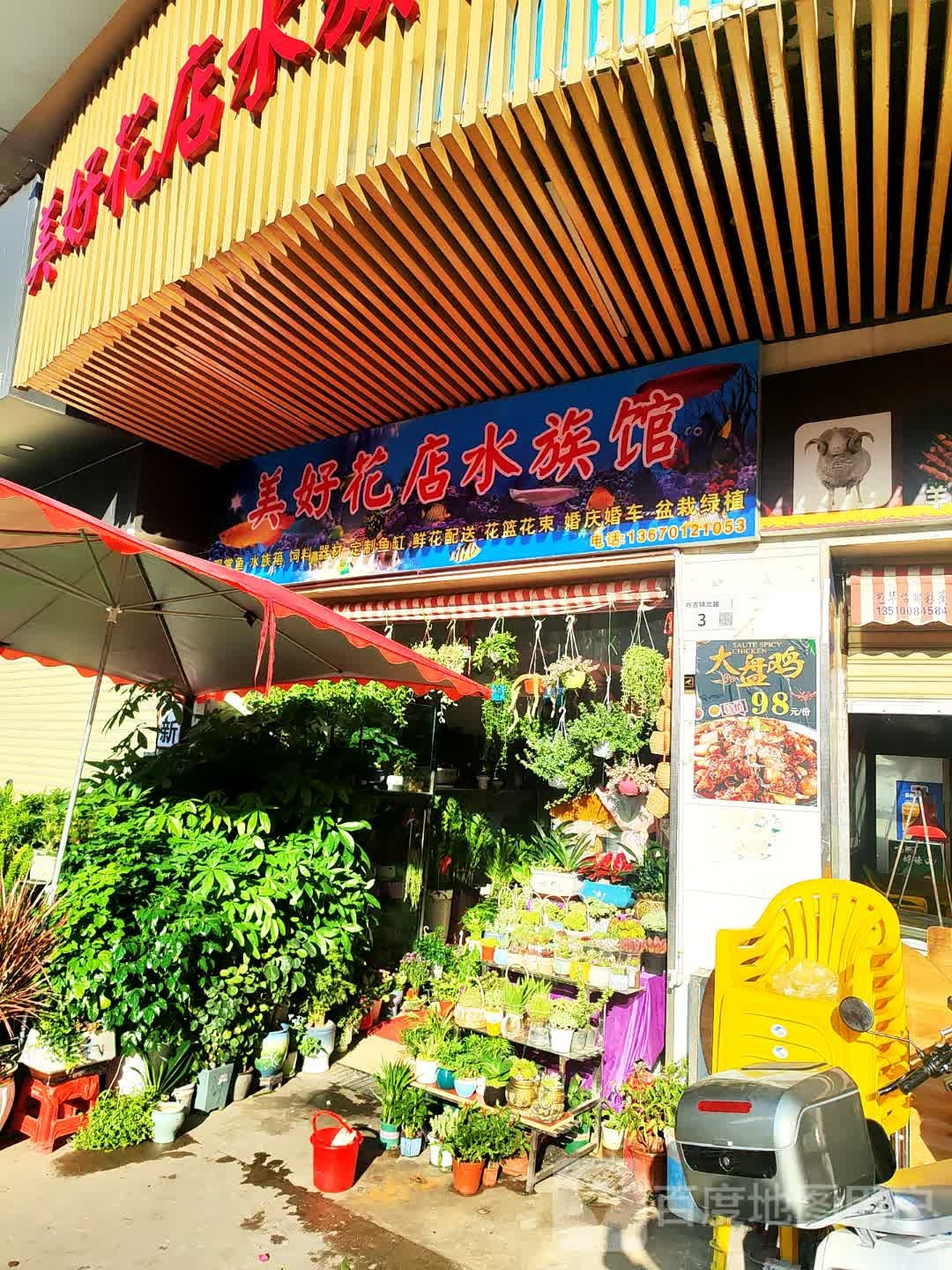 美好花店水族馆