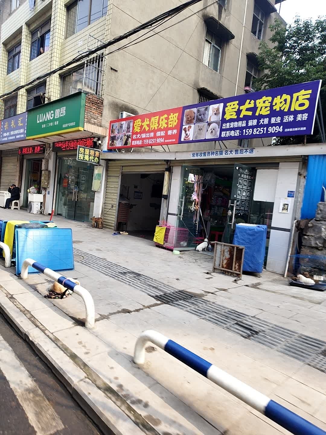 爱犬宠物店(迎春花苑店)