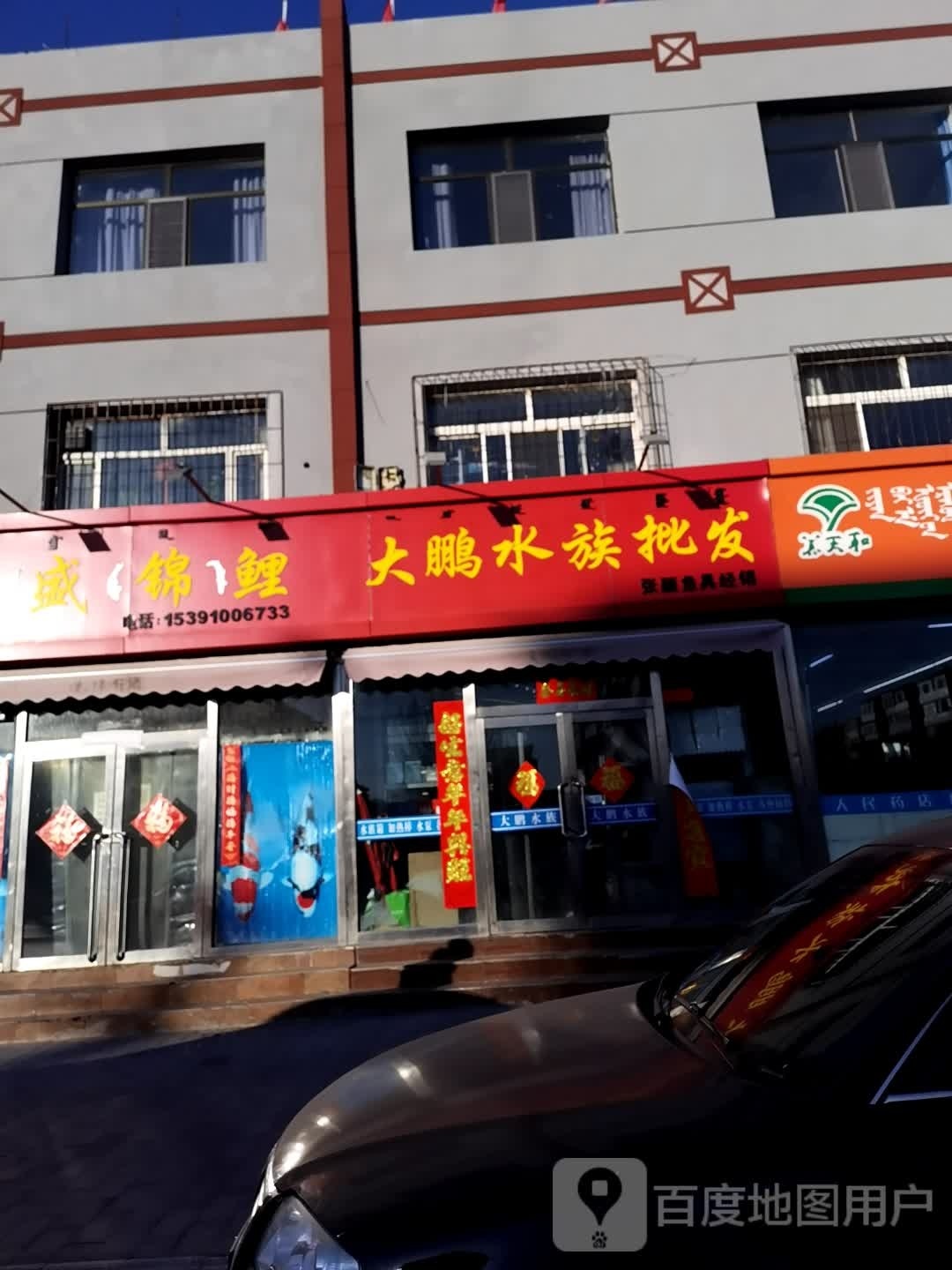 大鹏水族批发