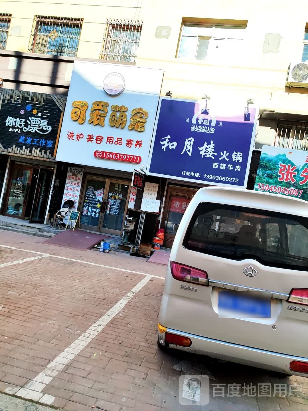 可爱萌宠(桐景花园店)