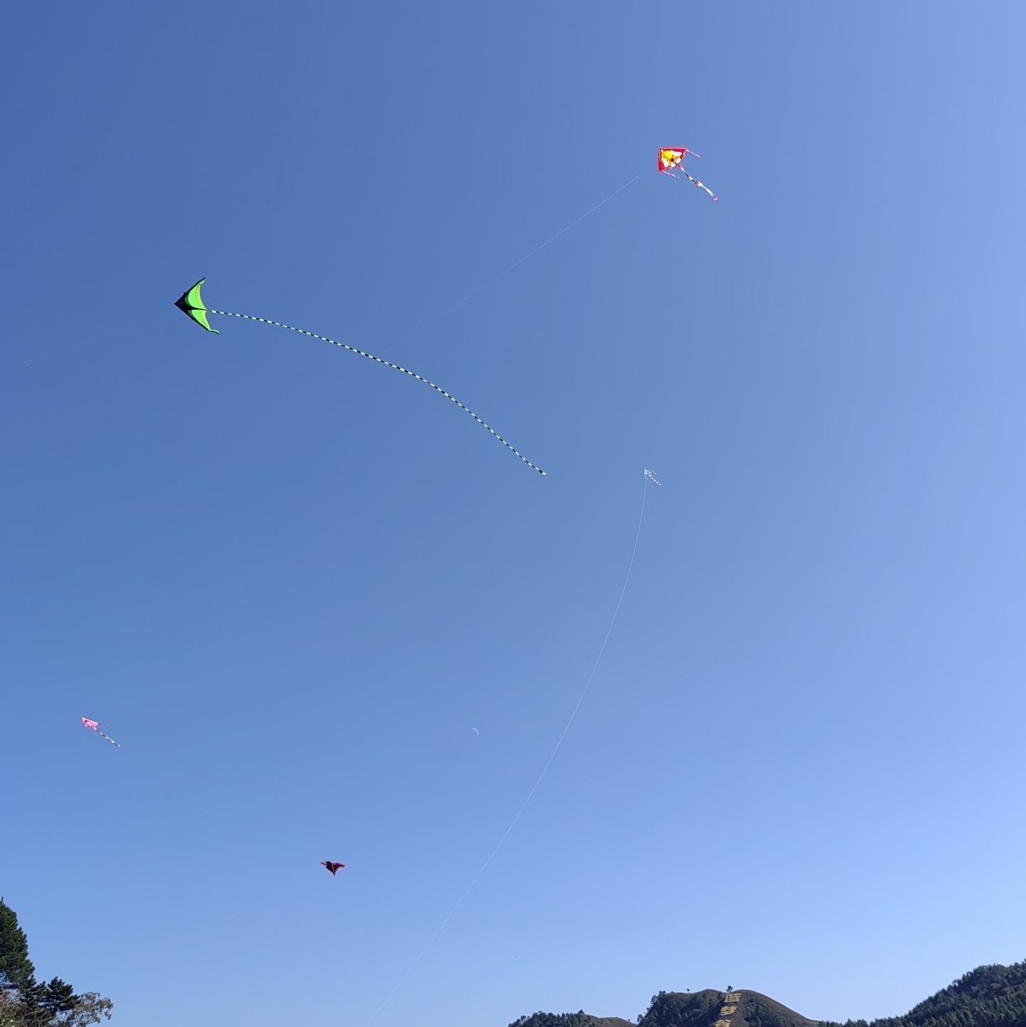 麻江蓝梦谷景区