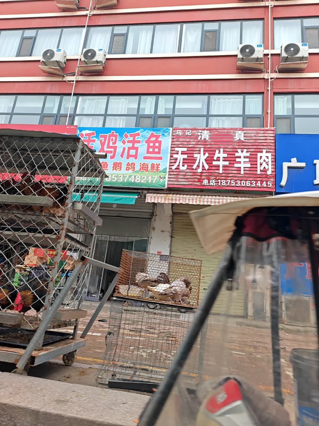 马记清真无水牛羊肉