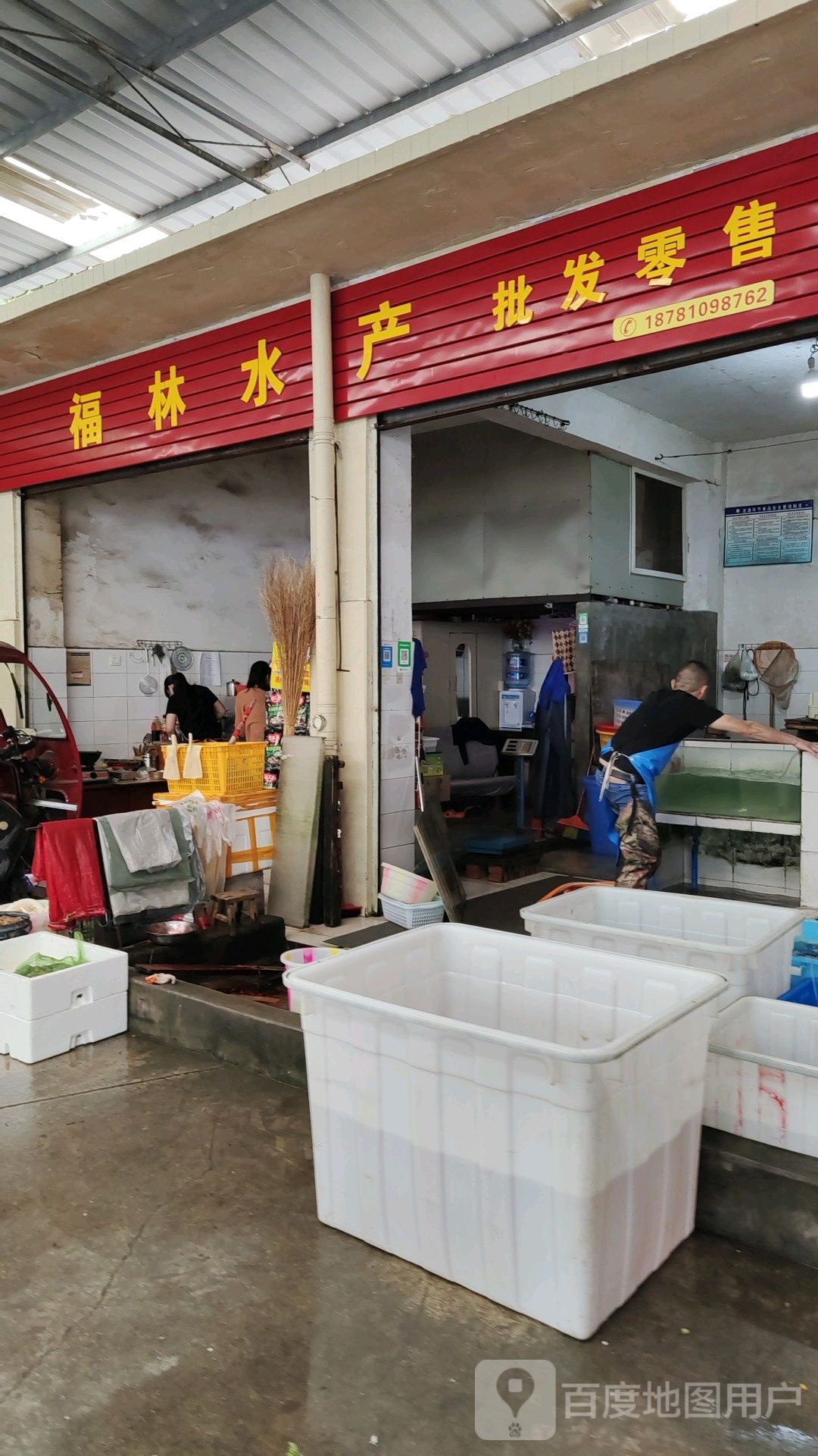 福林水产批发零售(金河东路市场店)