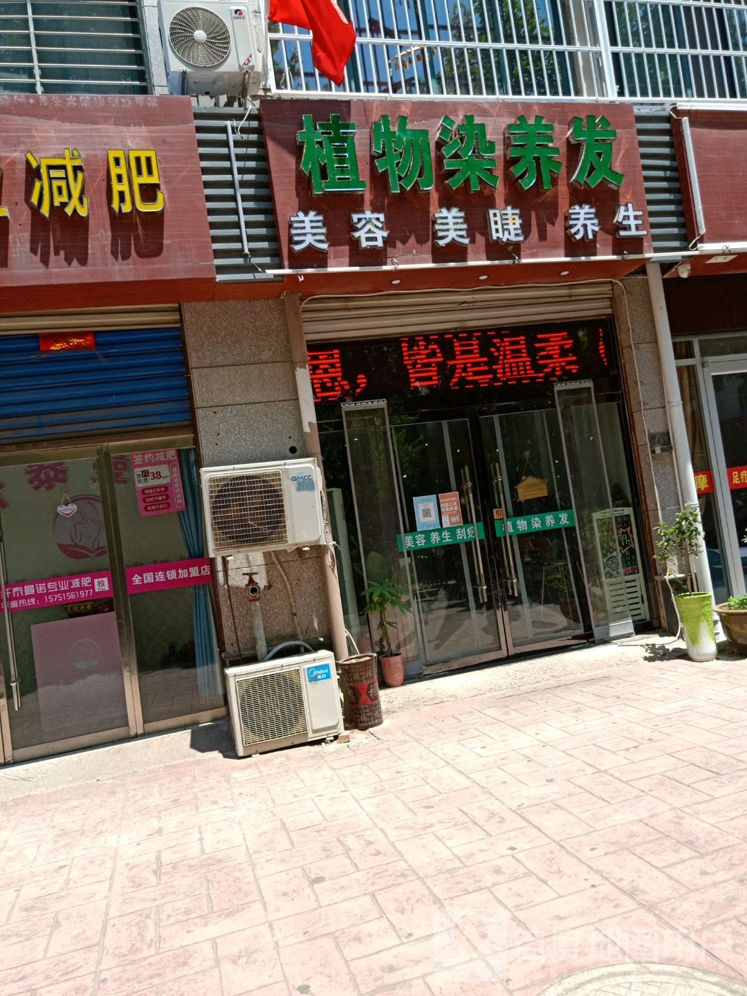 植物染发(城北店)