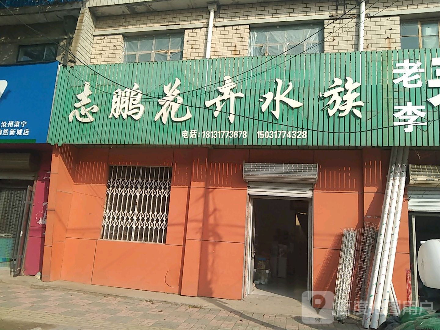 志鹏花卉水族