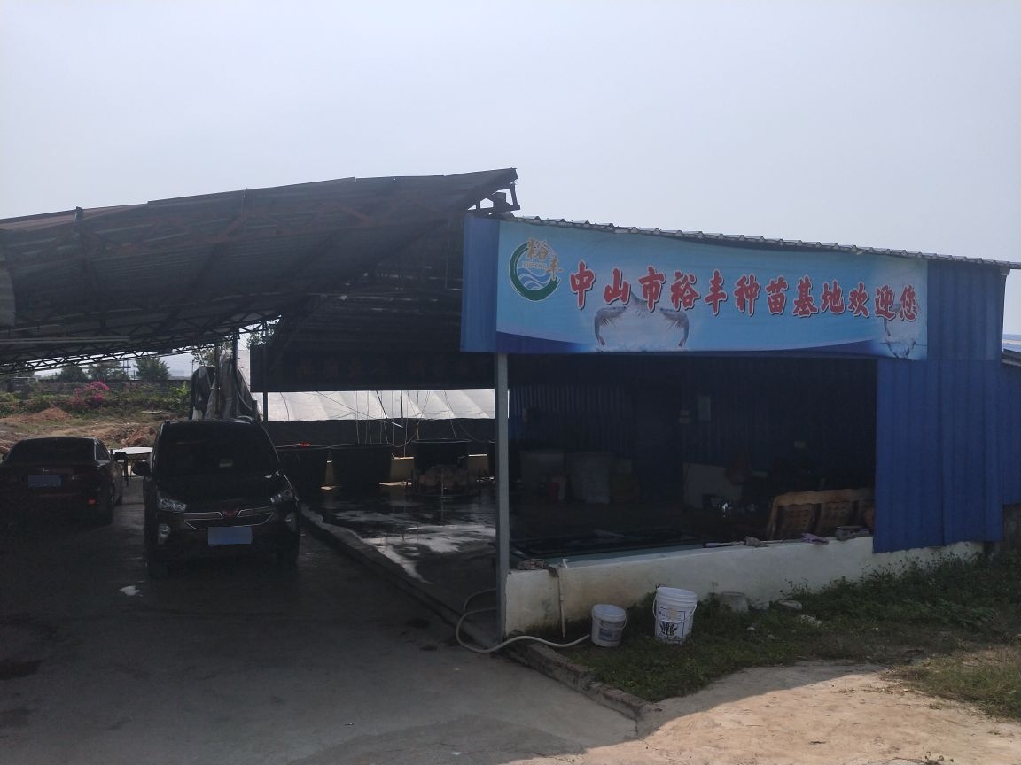 中山市裕丰种苗基地