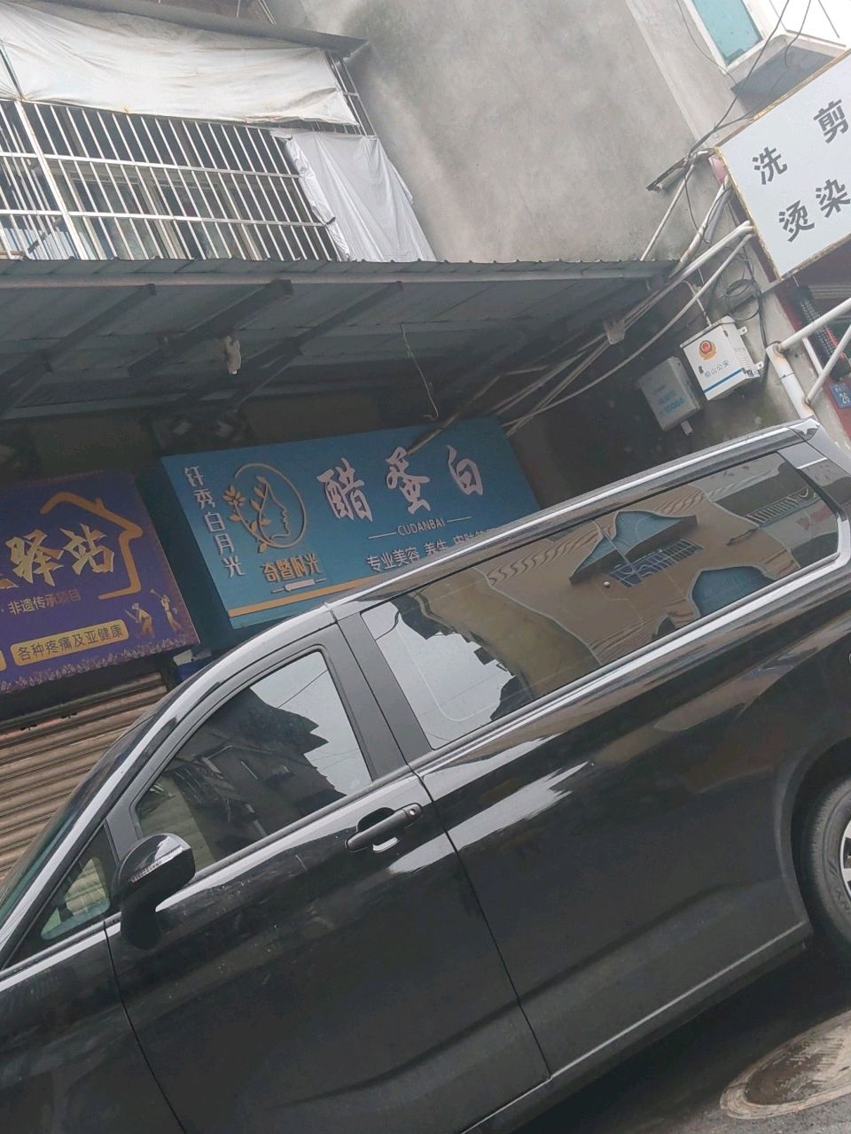 醋蛋白