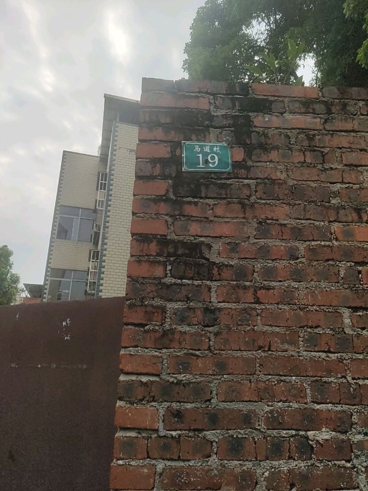 马道村19号