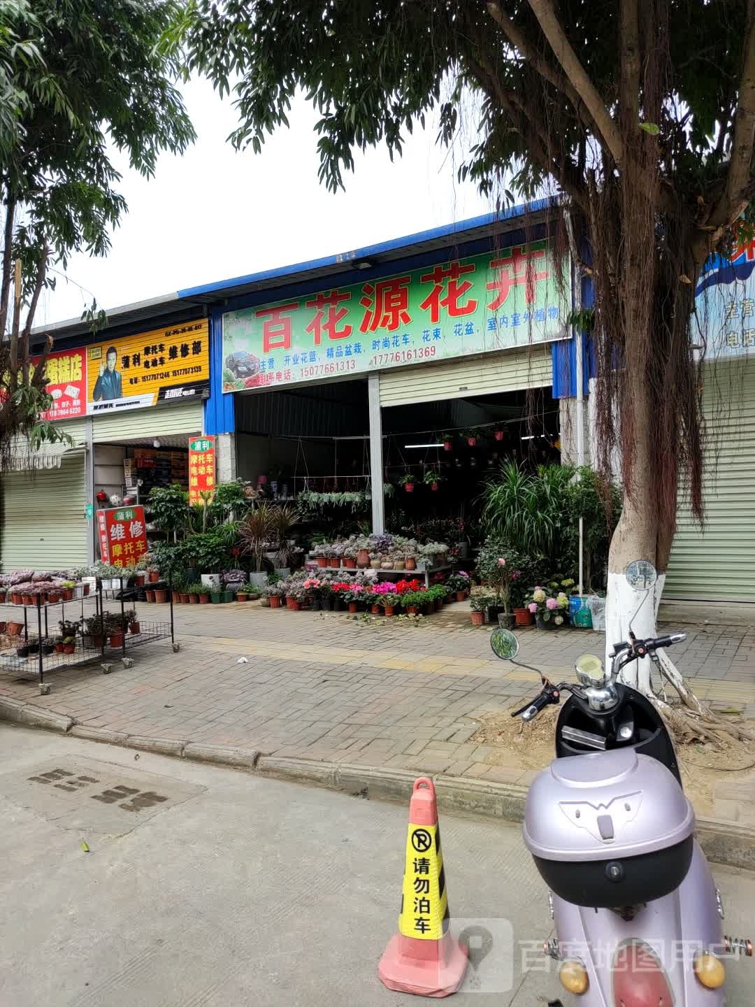 百花源花卉店