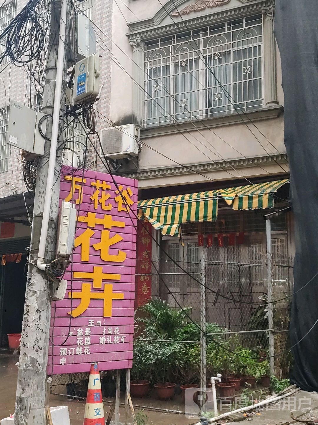 万花谷花卉