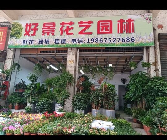 好景花艺园林