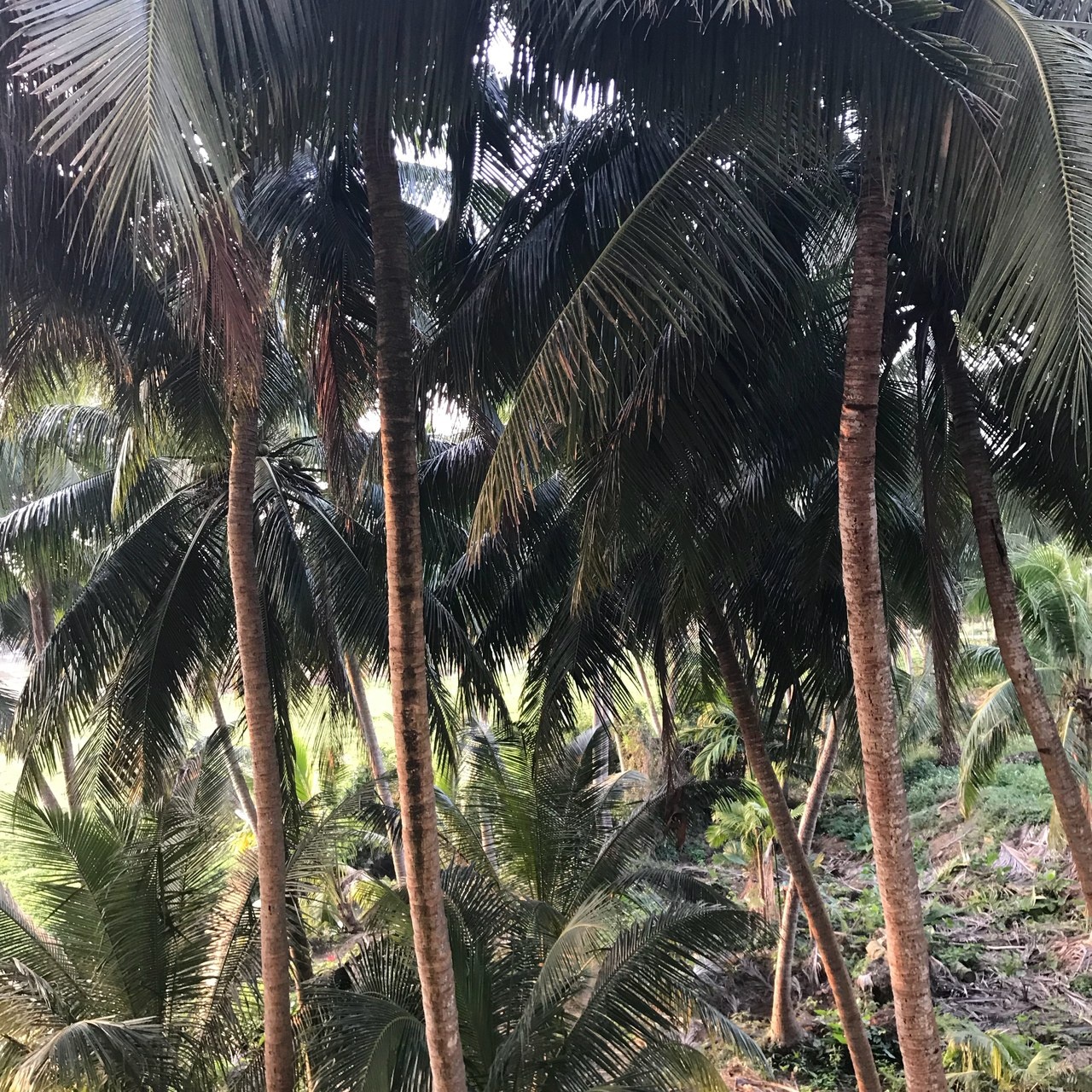 恭喜来客发财公寓(文南路分店)