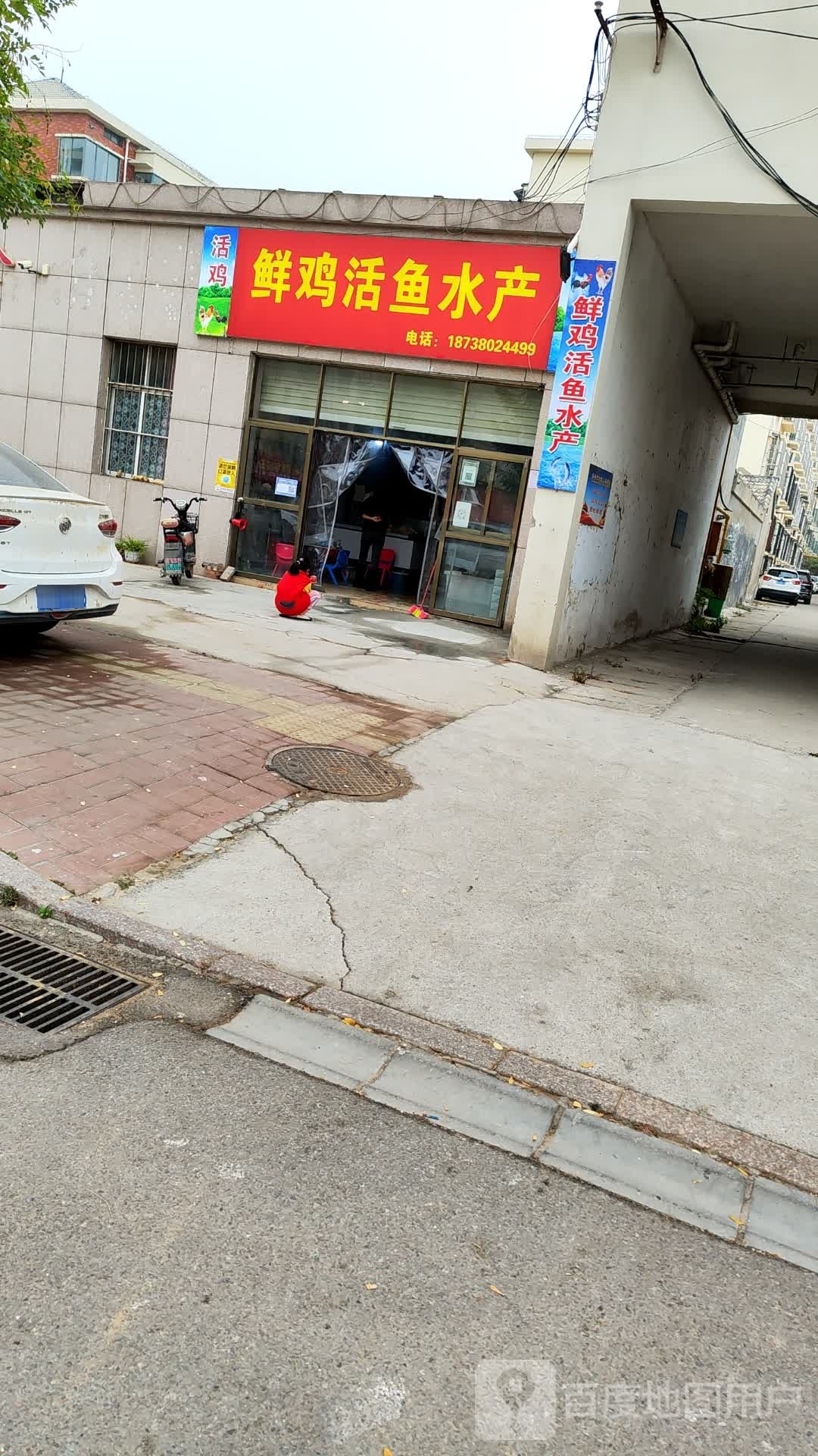 鲜鸡活与水产