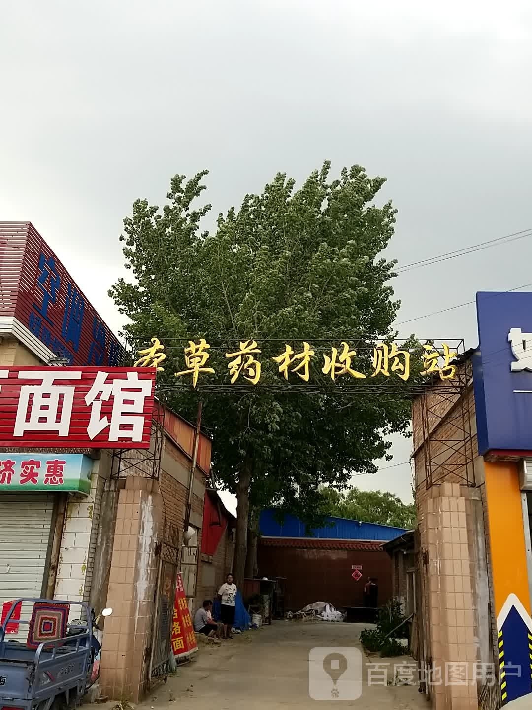 本草药材收购站