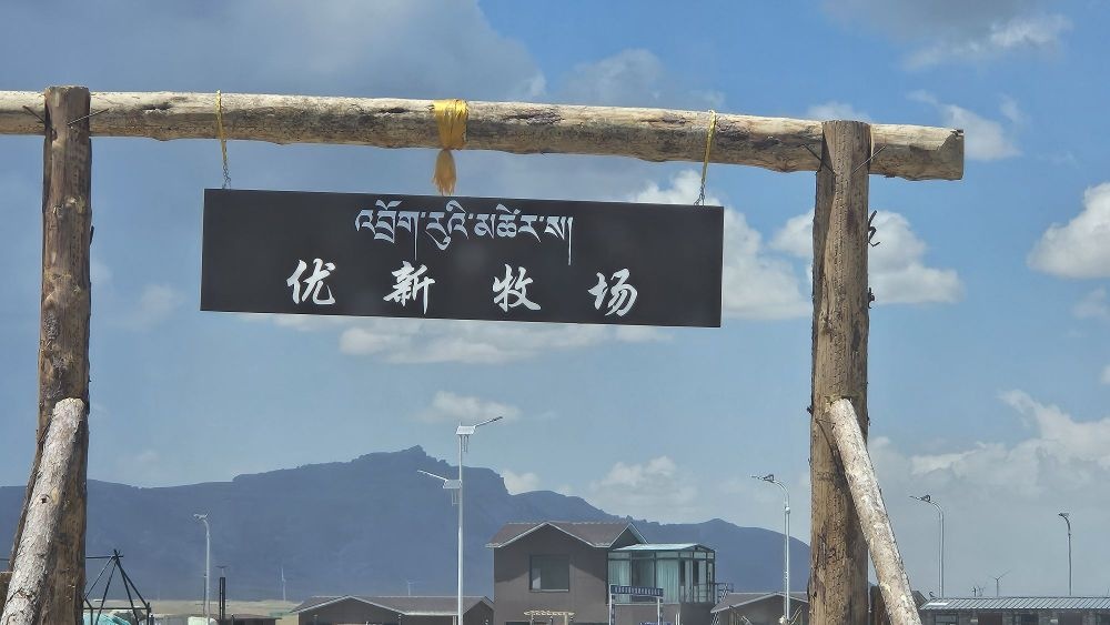天峻县优新牧场
