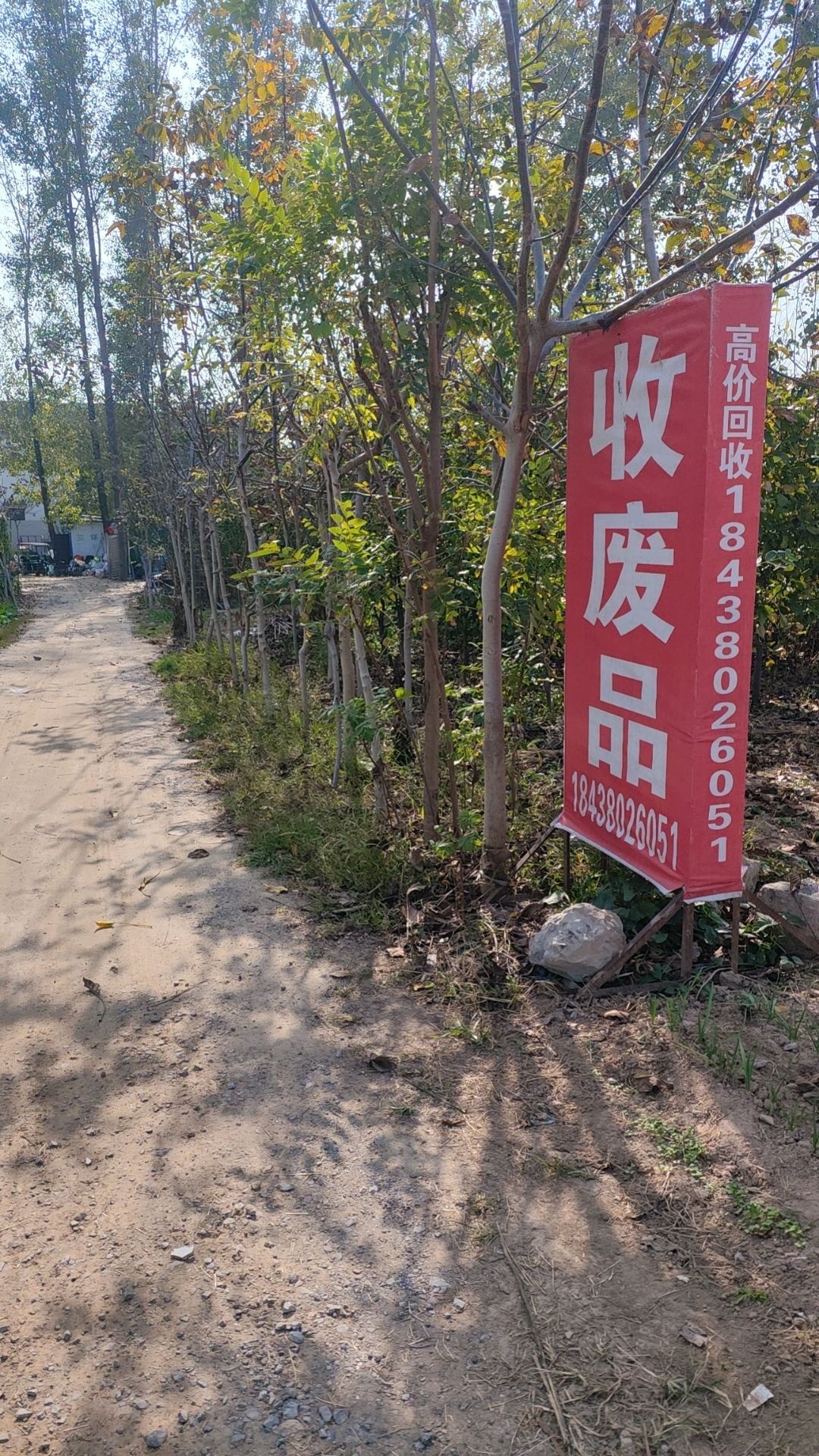 收废纸