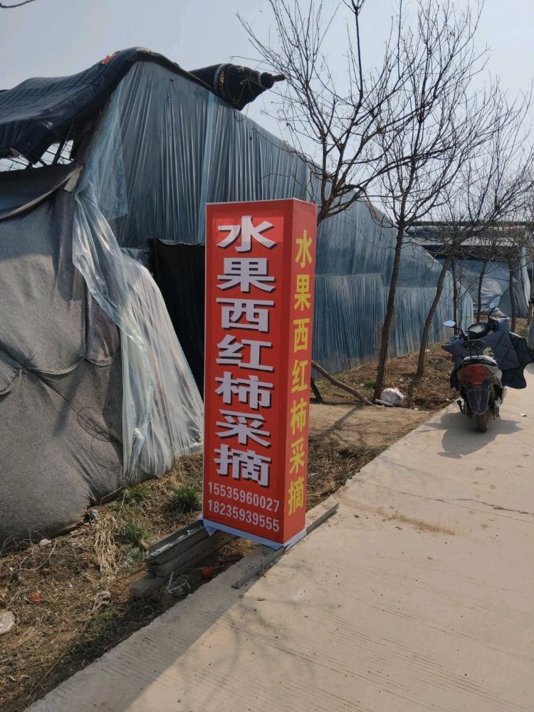 嘟嘟水果西红柿采摘园