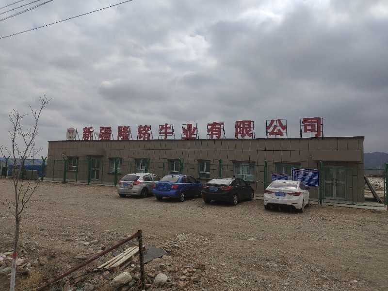 新疆隆铭牛业有限公司