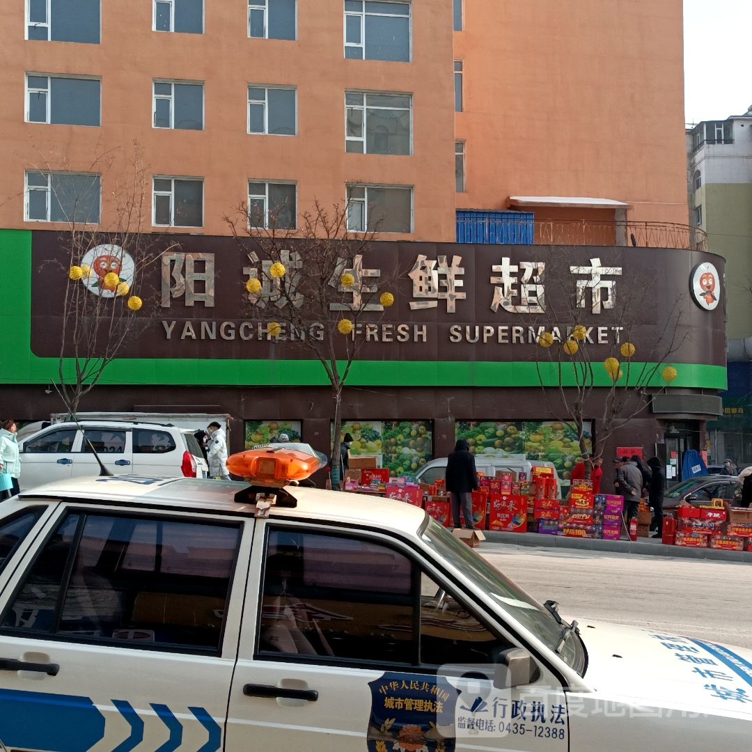 阳诚生鲜超市(东兴路店)