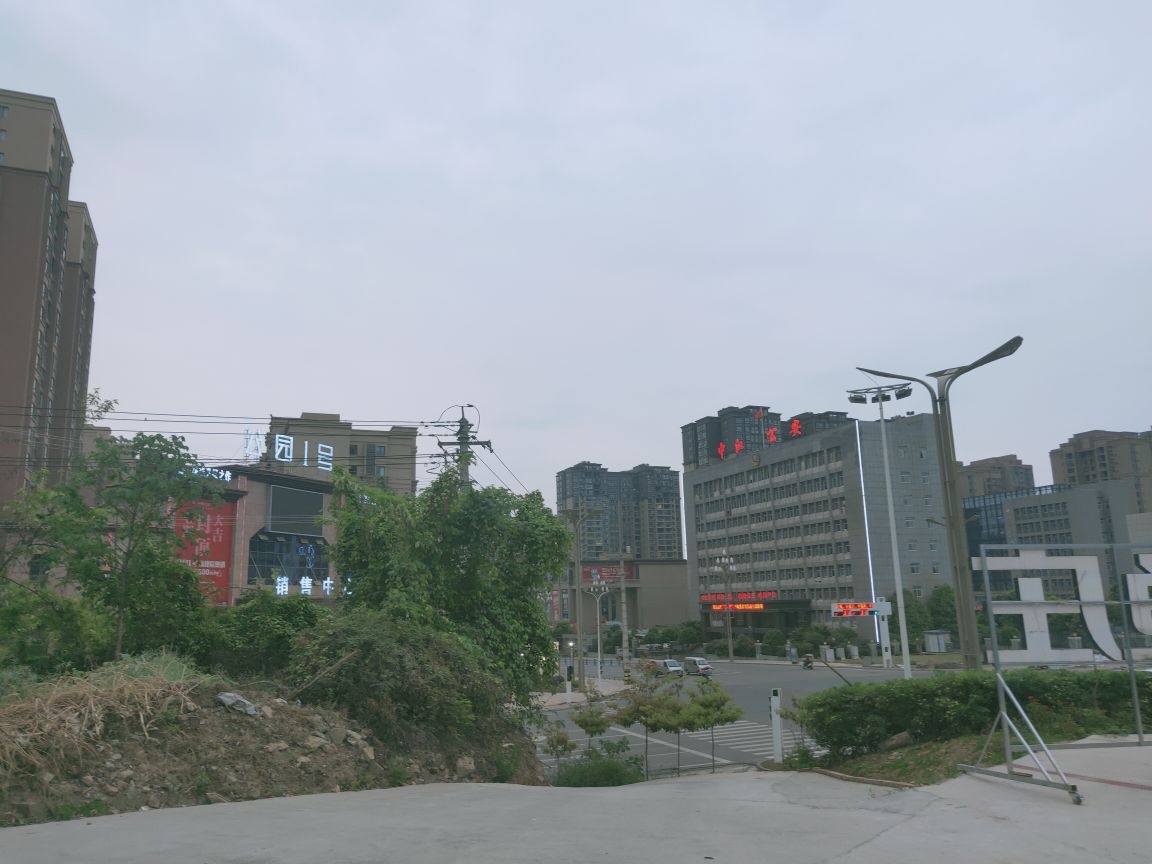 中金鱼庄