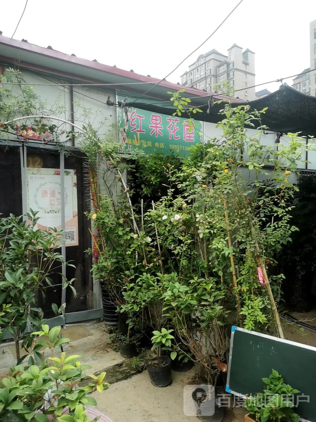 新密市红果花屋