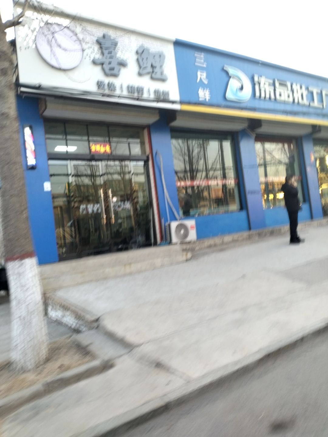 喜鲤造型