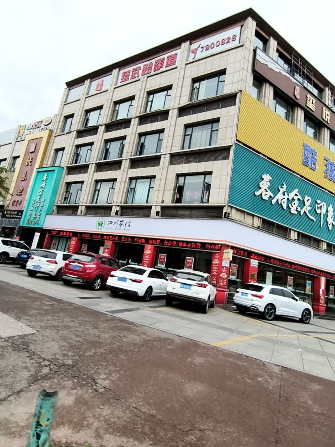 臻武跆拳道