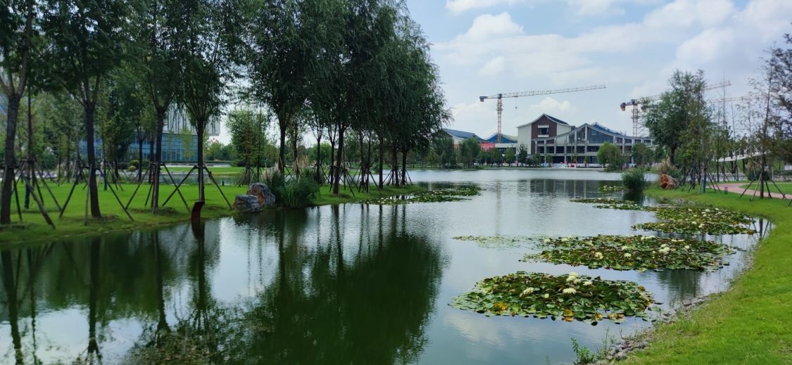 阜阳理工学院